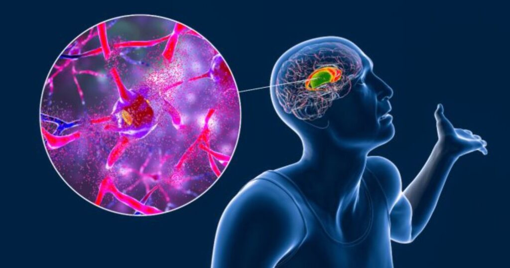 WhatsApp Image 2025-10-11 at 09.24.10