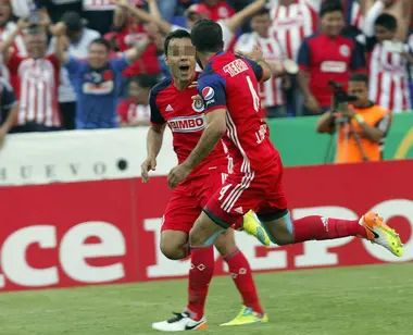 WhatsApp Image 2025-10-12 at 09.32.47