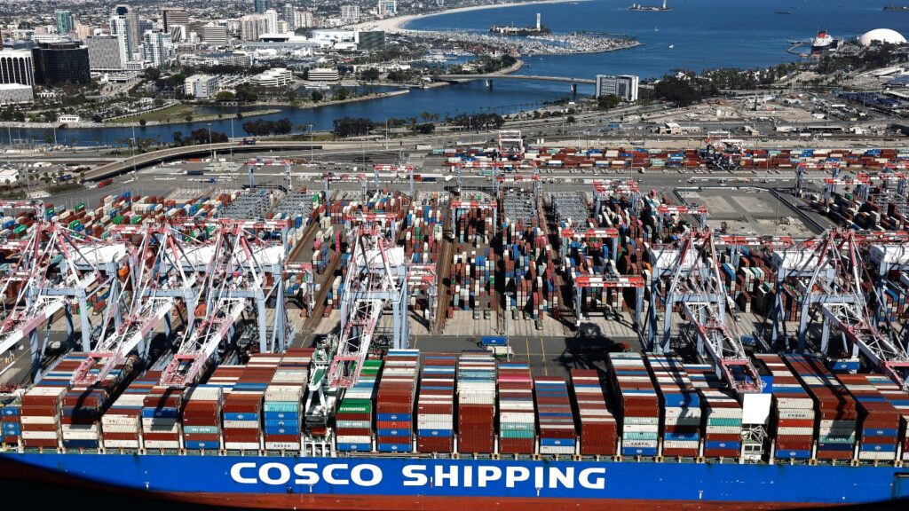 WhatsApp Image 2025-10-12 at 16.03.09