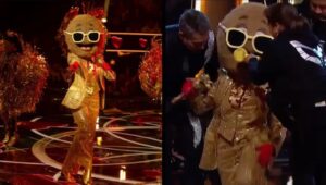 WhatsApp Image 2025-10-13 at 08.47.31