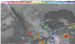 WhatsApp Image 2025-10-15 at 07.23.56