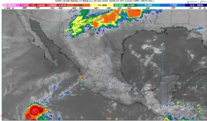 WhatsApp Image 2025-10-24 at 07.29.59