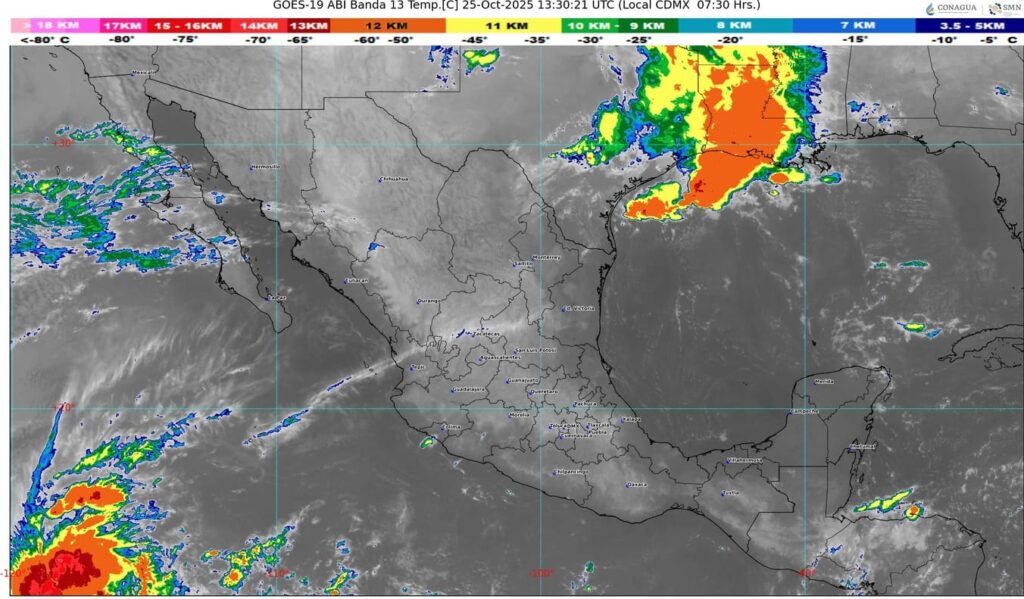 WhatsApp Image 2025-10-25 at 09.03.13