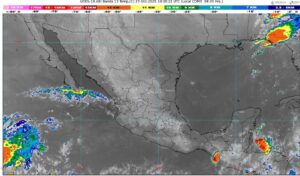 WhatsApp Image 2025-10-27 at 07.45.32