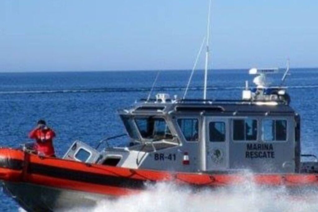 WhatsApp Image 2025-10-31 at 07.47.03