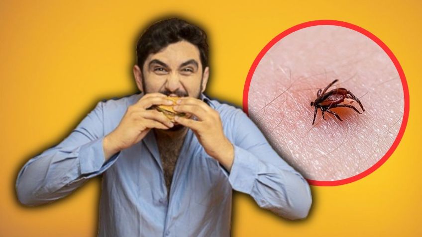 Imagen de WhatsApp 2025-11-17 a las 12.48.48_d6fb88df