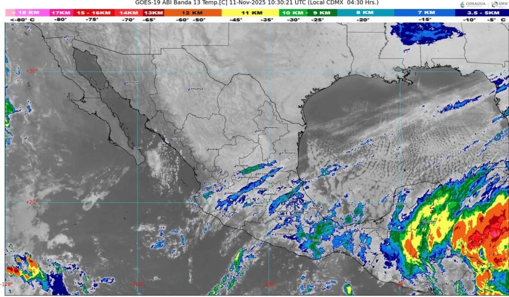 WhatsApp Image 2025-11-11 at 07.37.29