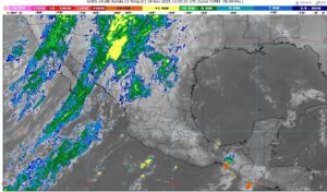 WhatsApp Image 2025-11-19 at 08.31.28