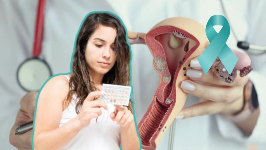 WhatsApp Image 2025-11-19 at 09.59.37