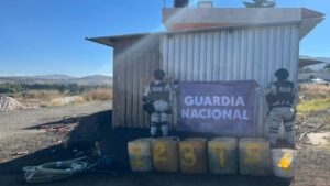 WhatsApp Image 2025-11-20 at 07.32.19