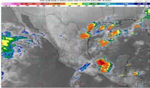 WhatsApp Image 2025-11-26 at 07.15.26