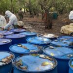 Más de 13 mil detenidos y cargamentos históricos de droga, reporta Semar