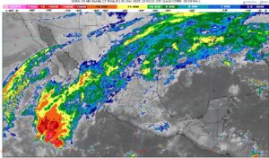 WhatsApp Image 2025-12-01 at 07.51.11