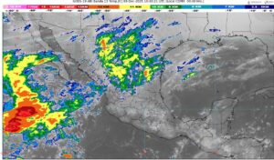 WhatsApp Image 2025-12-03 at 07.15.03