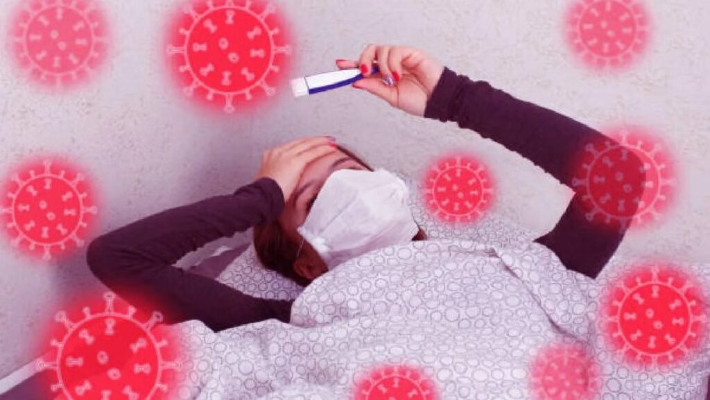 WhatsApp Image 2025-12-10 at 11.41.54