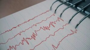 WhatsApp Image 2026-01-02 at 11.55.02