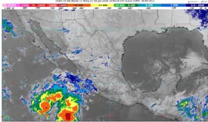 WhatsApp Image 2026-01-16 at 07.57.11