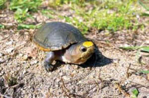 WhatsApp Image 2026-01-18 at 10.23.09