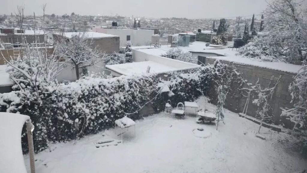 WhatsApp Image 2026-01-24 at 14.35.15