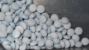 WhatsApp Image 2026-01-31 at 17.56.36