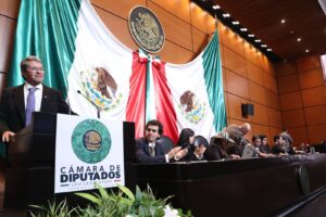 WhatsApp Image 2026-02-14 at 09.28.12