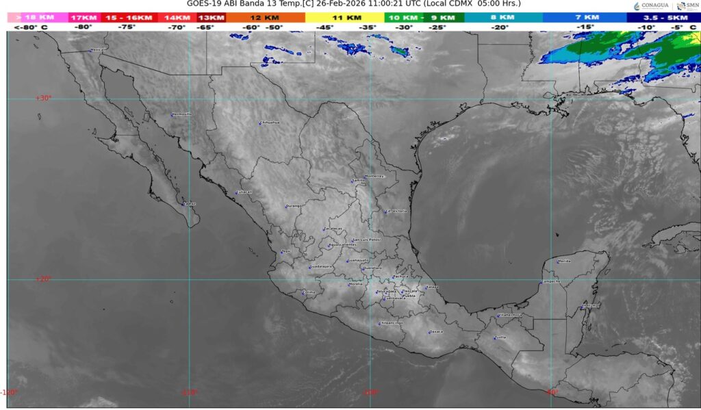 WhatsApp Image 2026-02-26 at 07.55.58