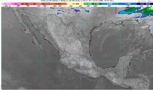 WhatsApp Image 2026-02-26 at 07.55.58