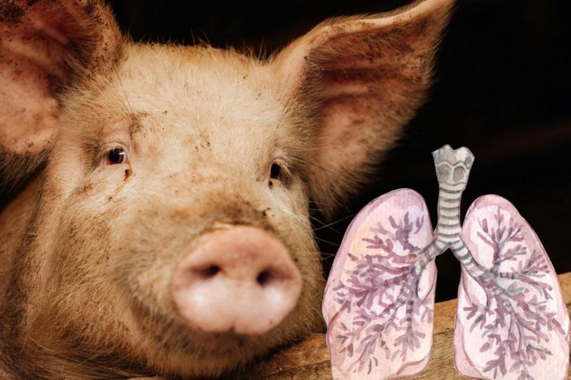 WhatsApp Image 2026-02-27 at 10.13.30