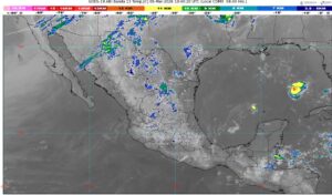 WhatsApp Image 2026-03-05 at 08.07.46