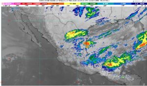 WhatsApp Image 2026-03-17 at 07.59.55