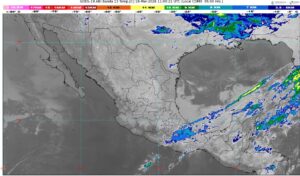 WhatsApp Image 2026-03-18 at 07.58.40