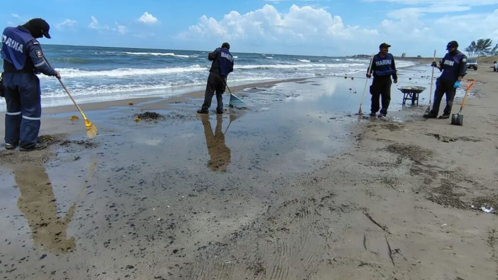 WhatsApp Image 2026-04-04 at 14.07.42