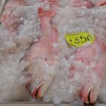 Alertan fraude en peso de pescado importado; hasta 40 % podría ser agua añadida