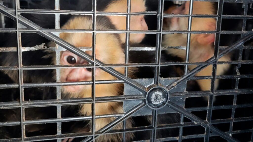 WhatsApp Image 2026-04-07 at 10.45.45