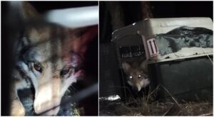 WhatsApp Image 2026-04-14 at 14.30.47