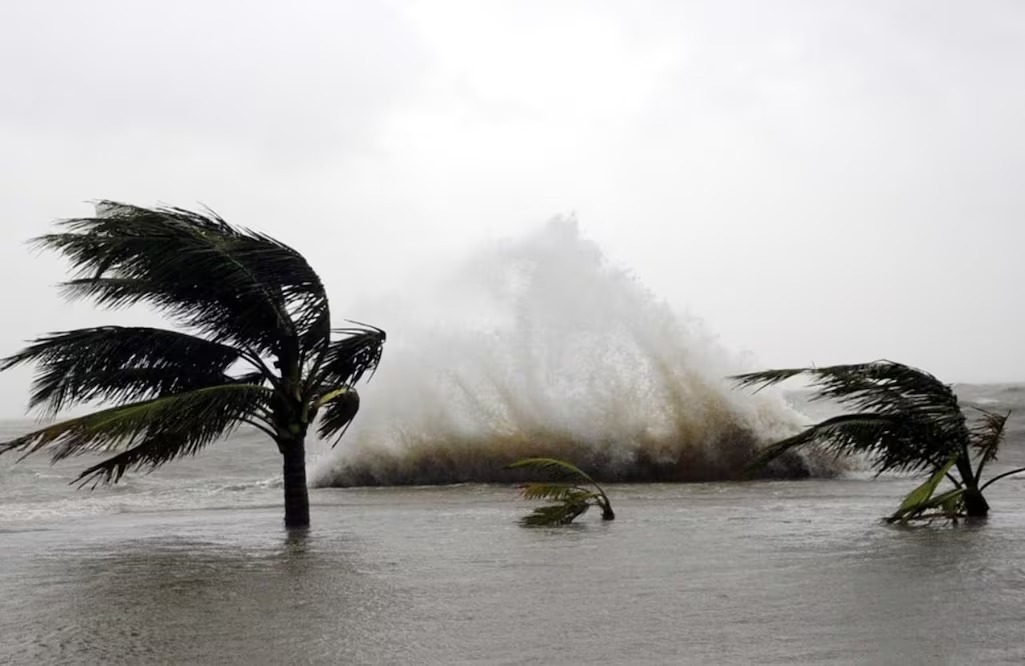 WhatsApp Image 2026-04-16 at 09.01.15