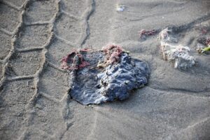 WhatsApp Image 2026-04-17 at 08.24.22