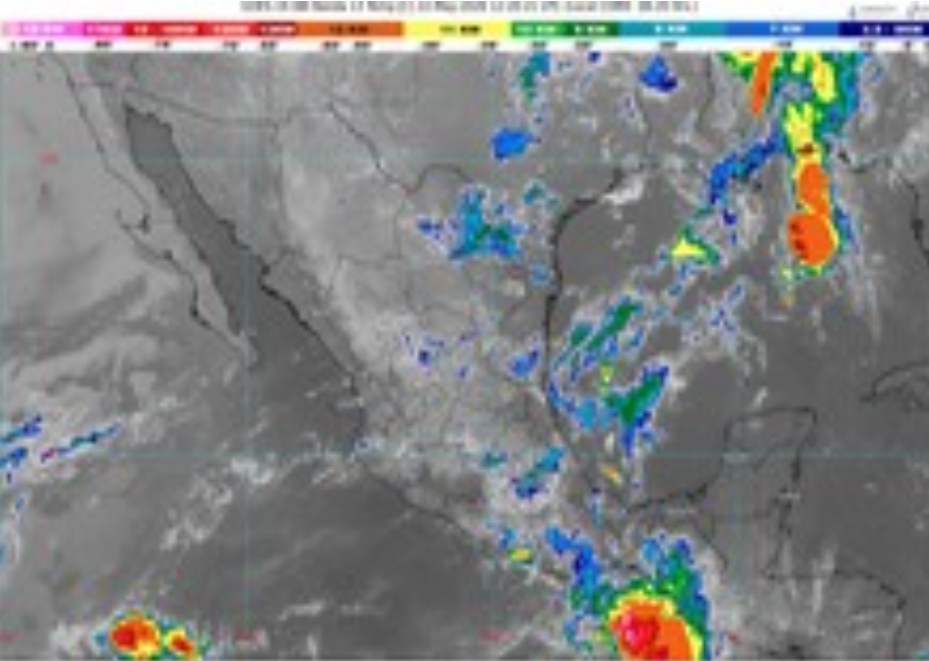 WhatsApp Image 2026-05-22 at 07.54.51
