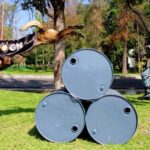 Guardia Nacional mantiene cinco binomios caninos en Guanajuato para la búsqueda permanente de personas