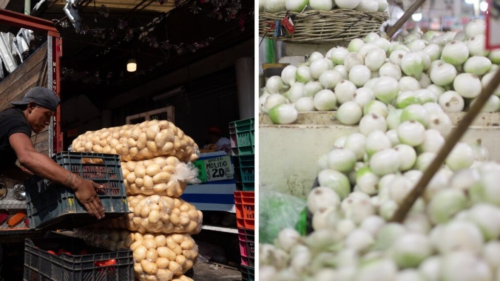 WhatsApp Image 2026-09-14 at 12.31.20