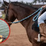 Desaparece jinete tras caer al agua en Huichapan; caballo fallece