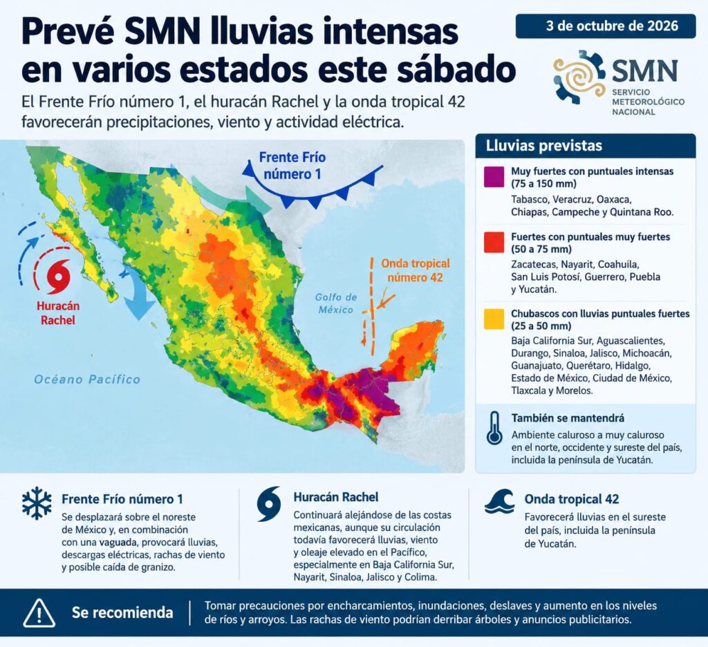 WhatsApp Image 2026-10-03 at 08.24.02